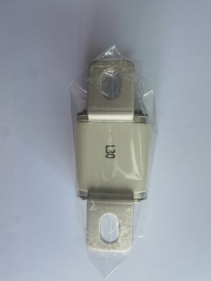 12V - 24V Fusível de Proteção Elétrica EV 3000A Com -40°C a 125°C